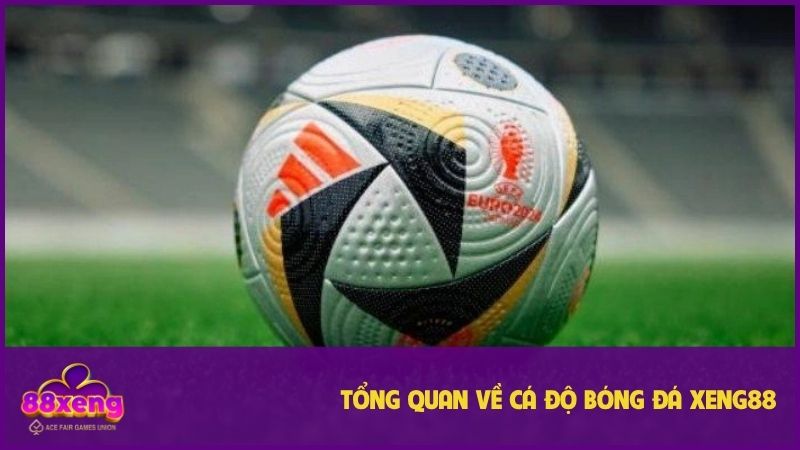 Hình thức luôn chứng kiến hội viên đặt cược mỗi ngày